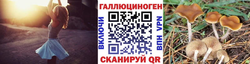 Псилоцибиновые грибы Magic Shrooms  kraken зеркало  Черепаново  купить наркотик 